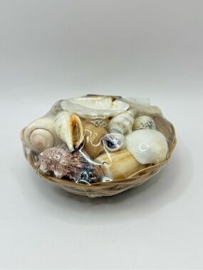Seashell Assortment Pack in Small Woven Bowl 4” Coastal Beach Decor Philippines